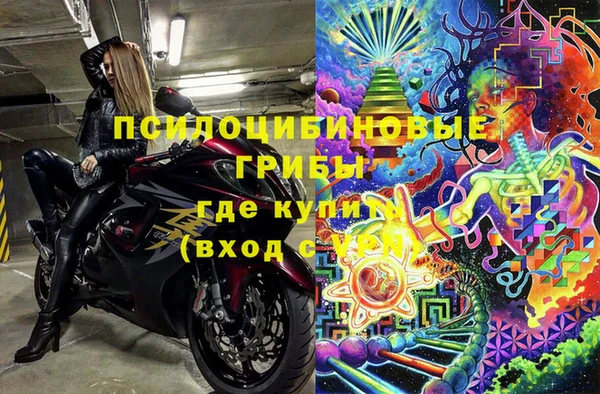 гидра Аркадак