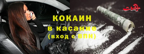 гидра Аркадак